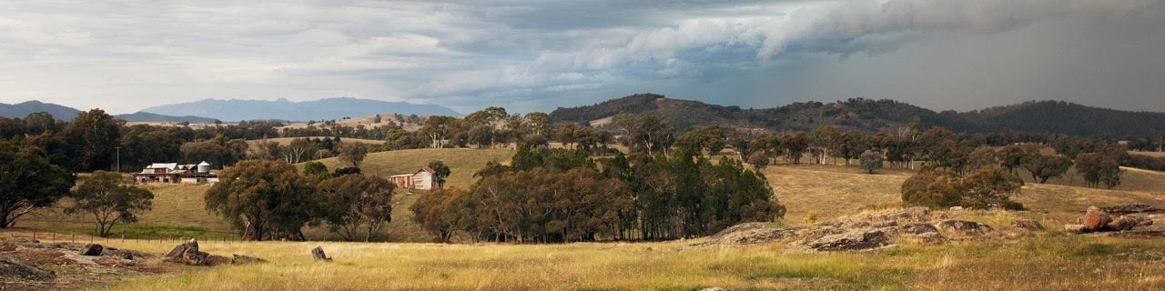 Beechworth, Wine Cellar Doors