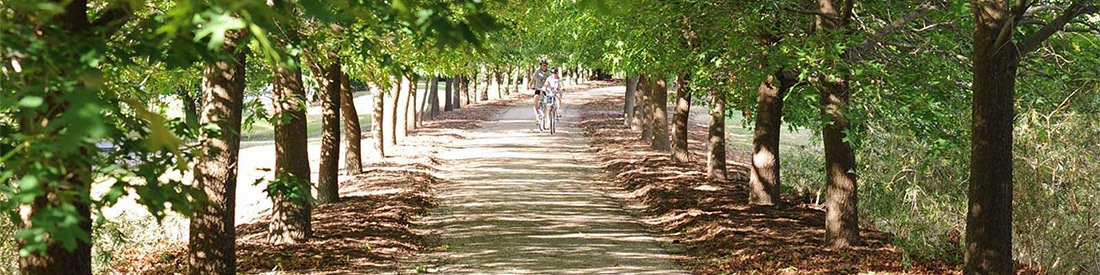 Beechworth Treescapes