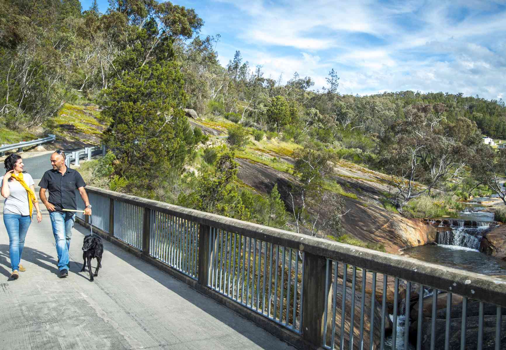 Beechworth Gorge dog walking_web
