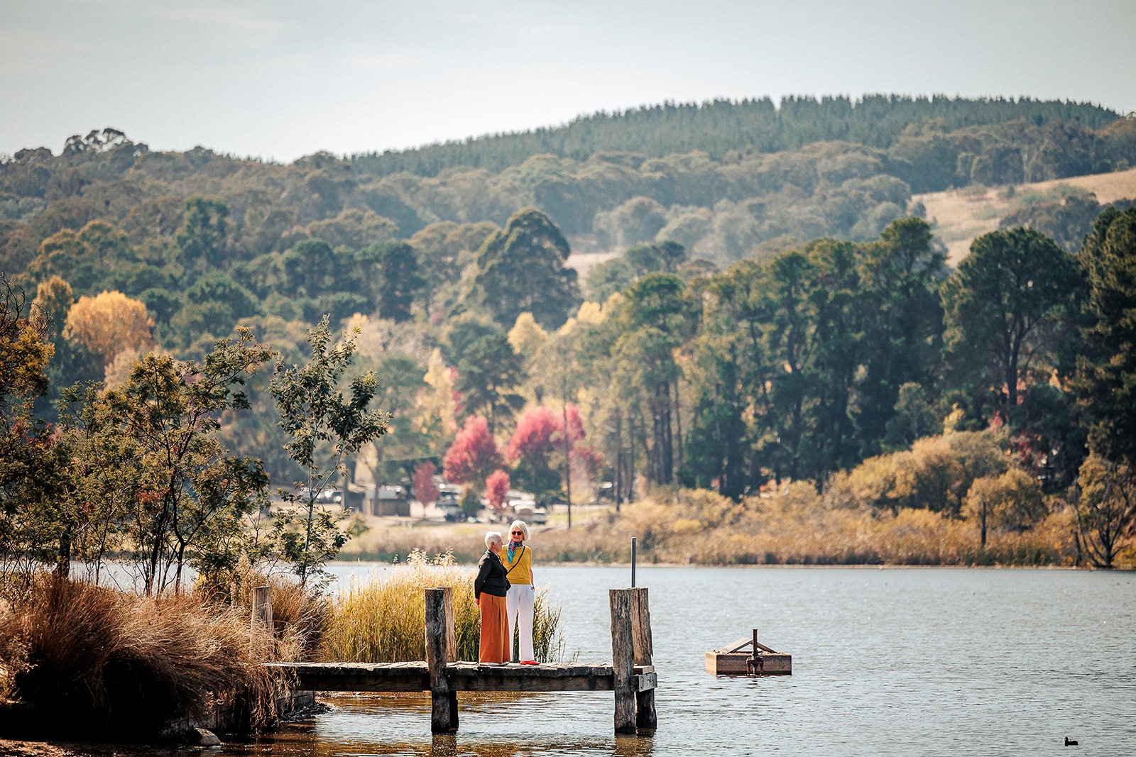 Indigo Shire Council - One Perfect Day - Beechworth