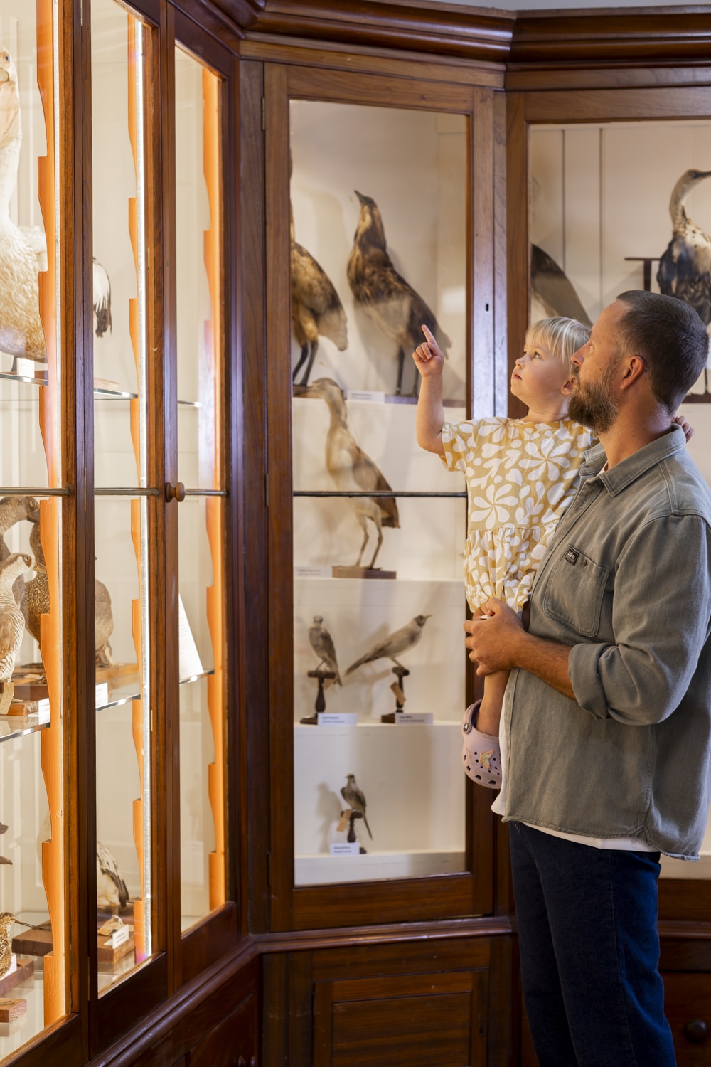 Burke Museum Beechworth