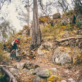 Beechworth Mountain Bike Park Ride High Country