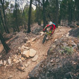 Beechworth Mountain Bike Park Ride High Country