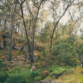 Beechworth Mountain Bike Park Ride High Country