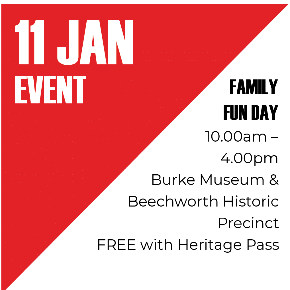 Rock n Roll Family Fun Day Poster