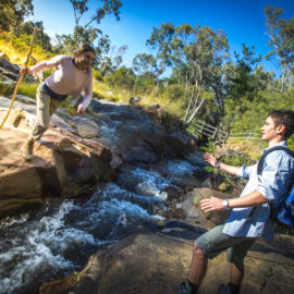 Yackandandah Gorge Scenic Walk - 2