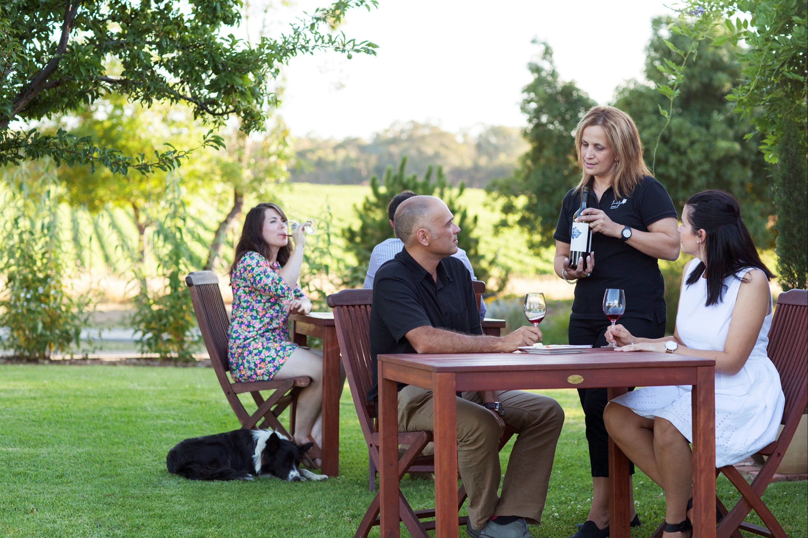 Tasting on lawn