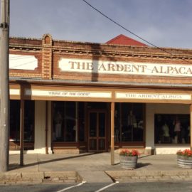 The Ardent Alpaca Store