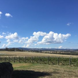 Beechworth Barrel Tours
