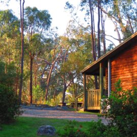 Woolshed Cabins 4