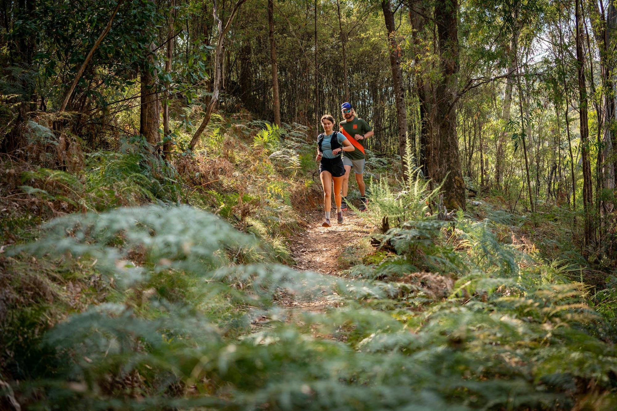 beechworth beer run