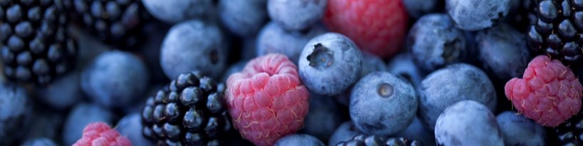 berries, food and wine, Beechworth